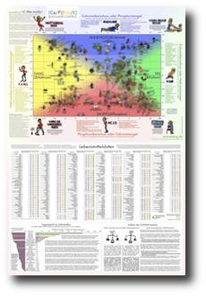CaPNaK Chart